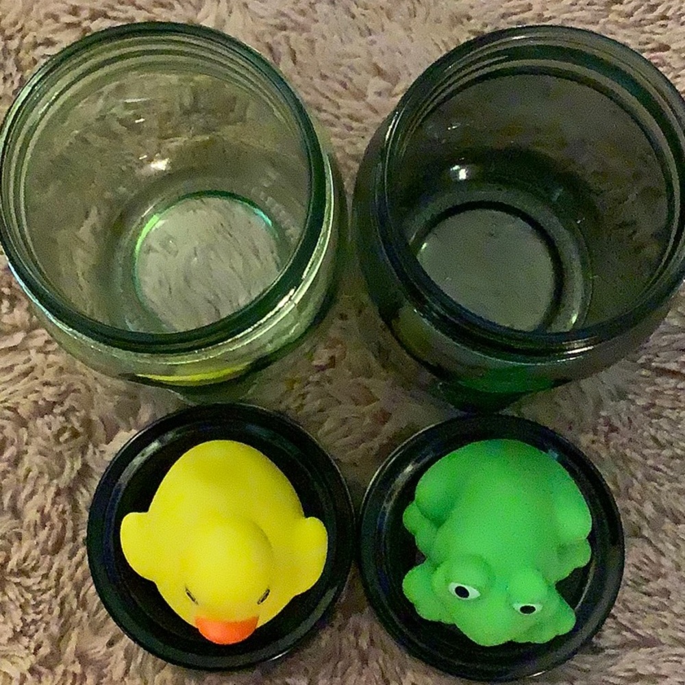 DUCK/FROG homemade accessory or snack mason jars. - Picture 2 of 3